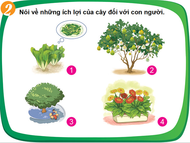 PPT TNXH HK2 5*687955