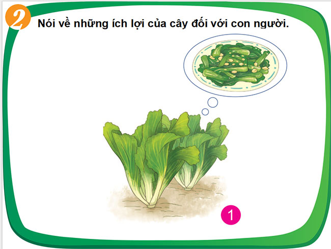 PPT TNXH HK2 6*687950