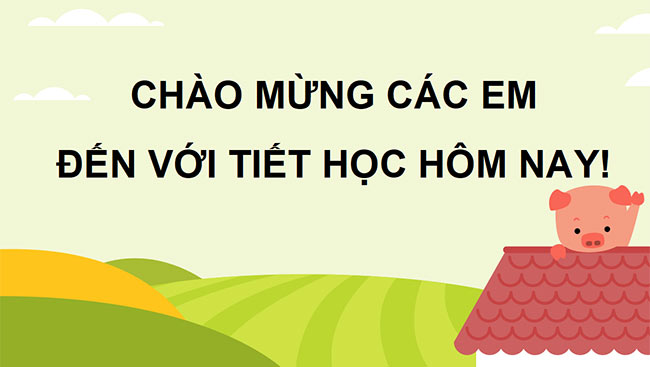 Toan 3 KNTT 1*687916