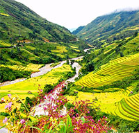 Giáo án Sinh hoạt dưới cờ lớp 6 tuần 17 chủ đề: Nét đẹp mùa xuân