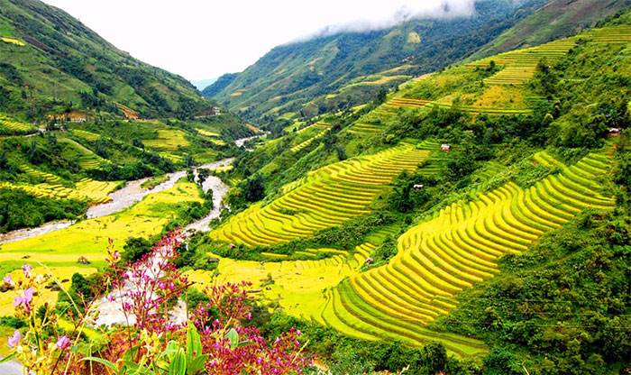 Giới thiệu về cảnh quan thiên nhiên của quê hương