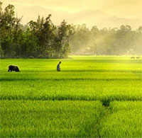 Giáo án Sinh hoạt dưới cờ lớp 6 tuần 18 chủ đề: Nét đẹp mùa xuân