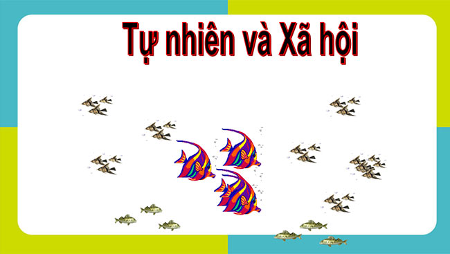 TNXH 1 CD HK2 1*689083