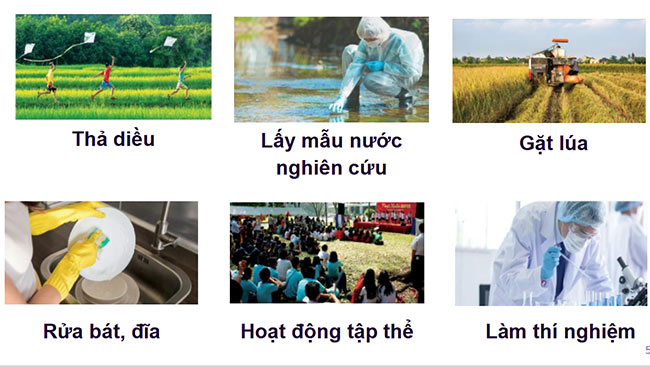 Giáo án PowerPoint Khoa học tự nhiên lớp 6