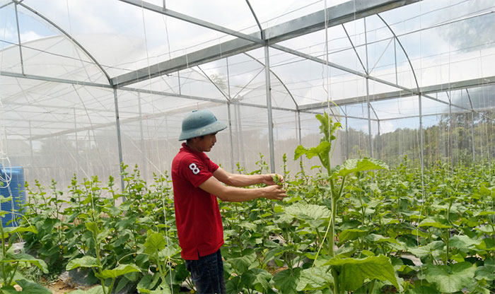 Chia sẻ về những tấm gương khởi nghiệp thành công bằng nghề ở địa phương