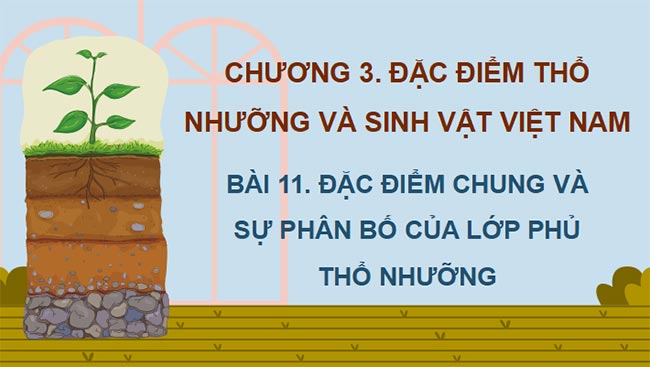 PowerPoint Địa lí 8 Chân trời sáng tạo