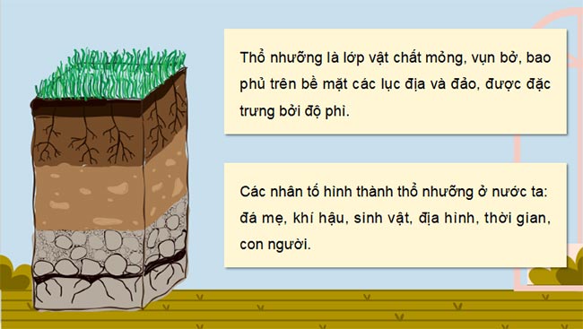 PowerPoint Địa lí 8 Chân trời sáng tạo