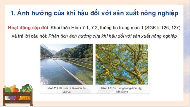 HK2 Dia li 8 KNTT 5*689874