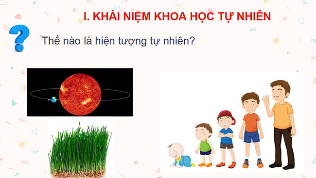 Giáo án PowerPoint Khoa học tự nhiên 6