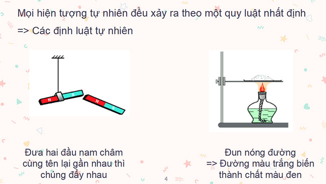 Giáo án PowerPoint Khoa học tự nhiên 6
