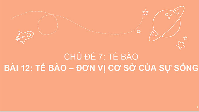 Sin hoc 6 CD 1*689761