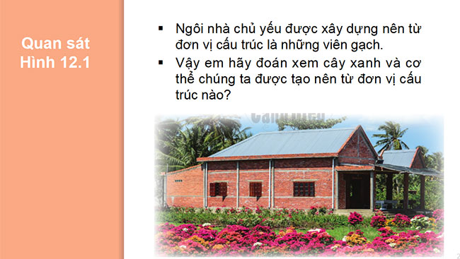 Sin hoc 6 CD 2*689767