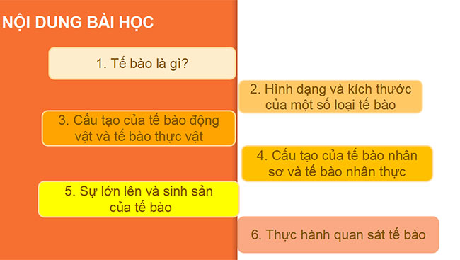 Sin hoc 6 CD 4*689762