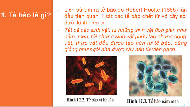 Sin hoc 6 CD 5*689766