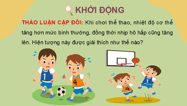  PowerPoint Sinh học 7 Chân trời sáng tạo 