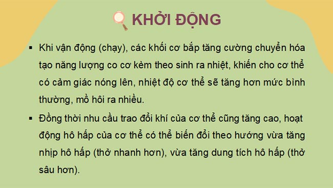  PowerPoint Sinh học 7 Chân trời sáng tạo 