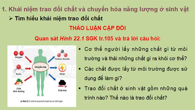  PowerPoint Sinh học 7 Chân trời sáng tạo 
