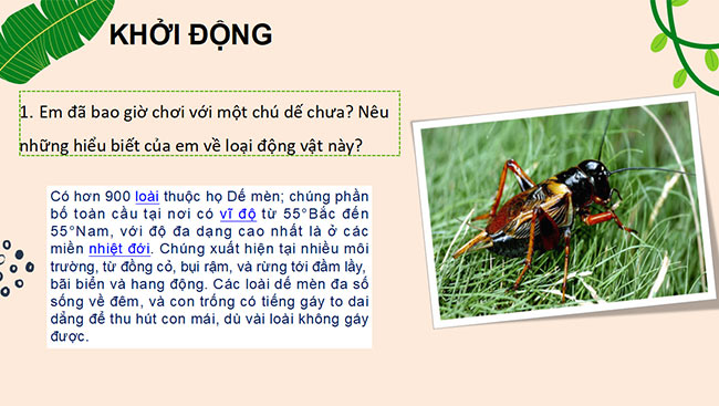 Van 6 CD HK2 2*689805