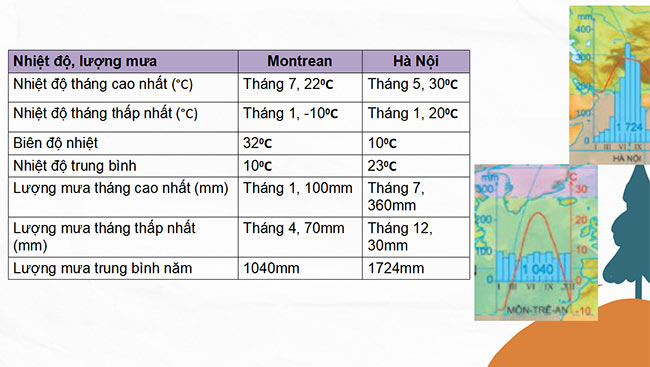 Dia 6 CTST HK2 6*690263