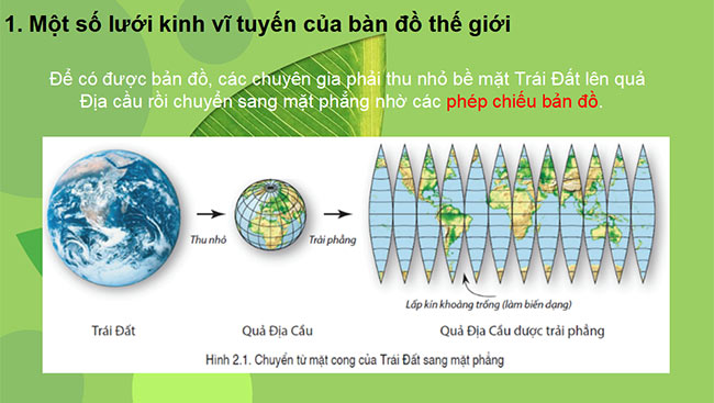 Dia li 6 CD 3*690164