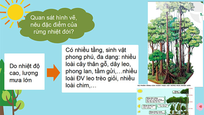 Dia li 6 HK2 6*690194