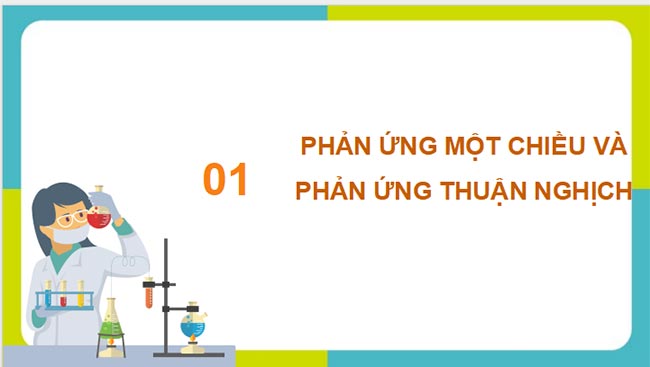 HK1 Hoa 11 KNTT 3*690030