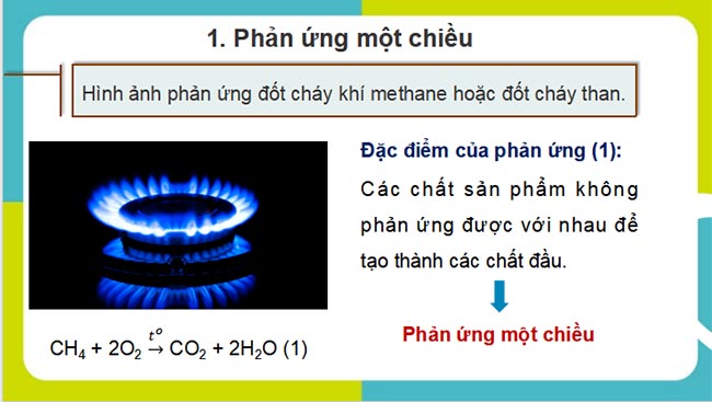 HK1 Hoa 11 KNTT 4*690032