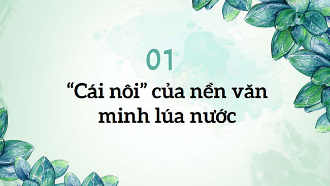 Lich su 6 HK2 3*690176