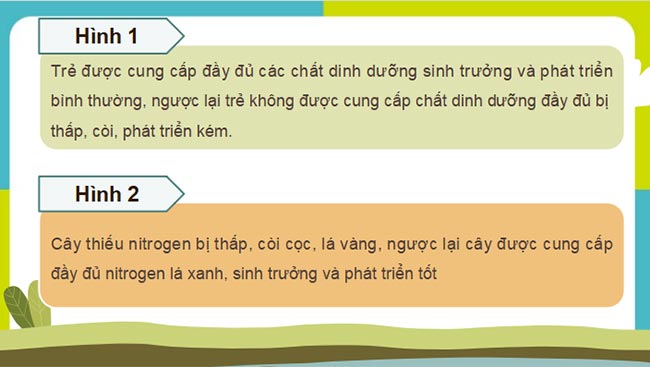 Sinh 11 KNTT HK1 5*690049