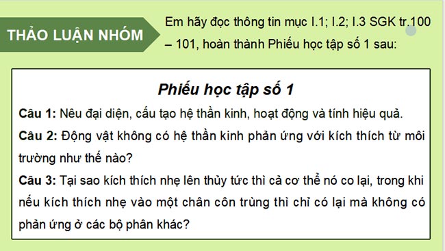 Giáo án PowerPoint Sinh học 11 Kết nối tri thức 