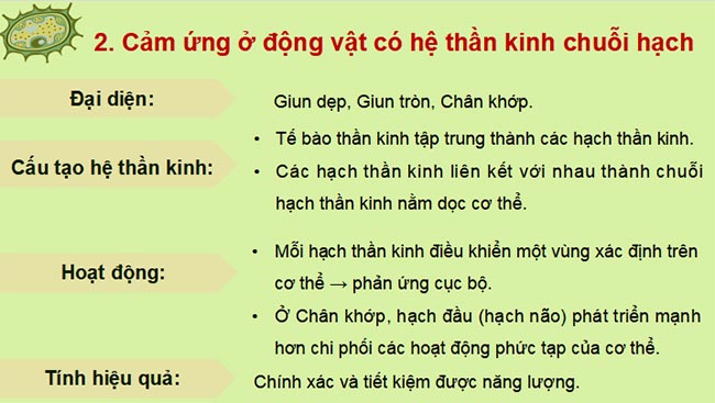 Giáo án PowerPoint Sinh học 11 Kết nối tri thức 