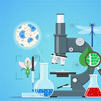 Bài giảng điện tử môn Sinh học 10 sách Kết nối tri thức với cuộc sống (Học kì 1)