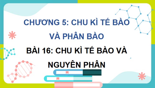 Sinh hoc 10 KNTT HK2 1*690020