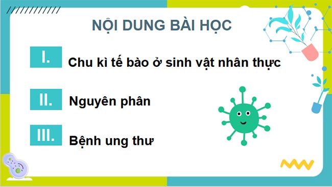 Sinh hoc 10 KNTT HK2 2*690021