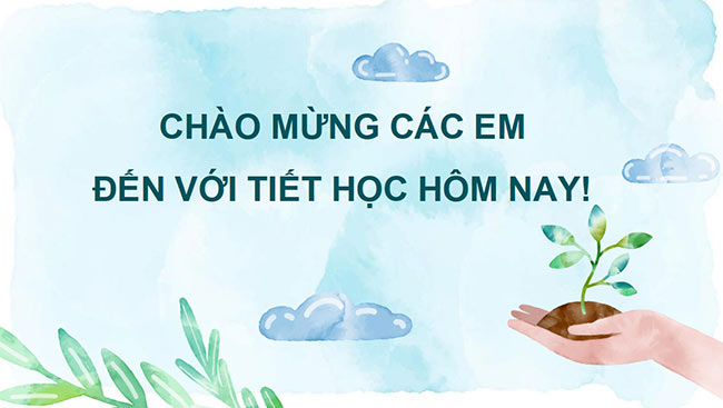 Mi thuat 6 HK2 1*692306