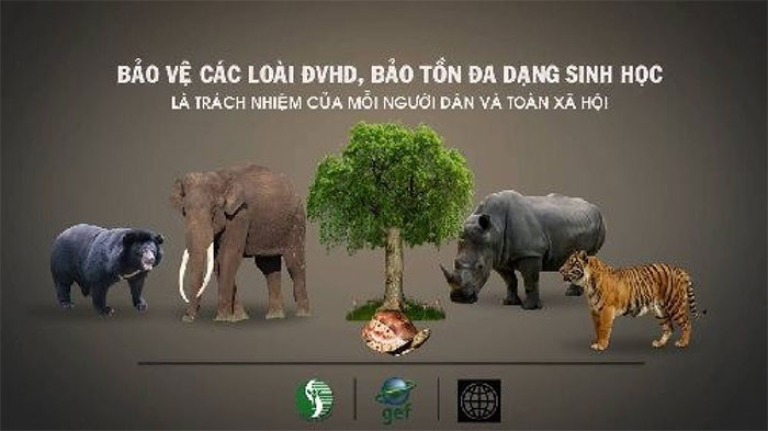Chung tay bảo vệ động vật quý hiếm