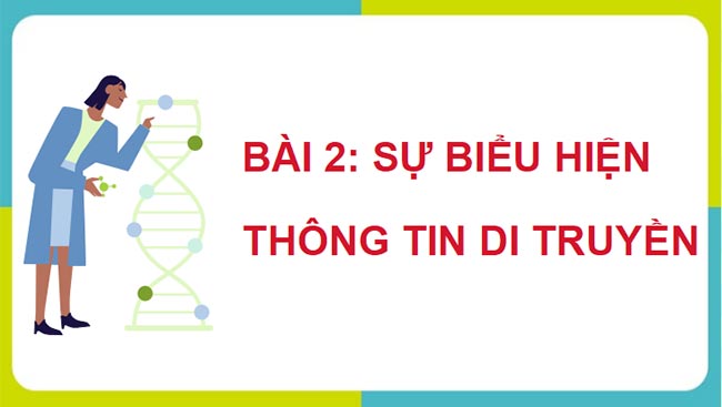 PowerPoint Sinh học 12 Cánh diều