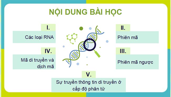 PowerPoint Sinh học 12 Cánh diều