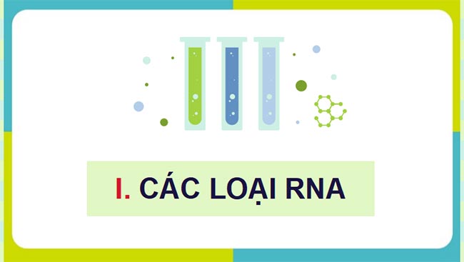 PowerPoint Sinh học 12 Cánh diều