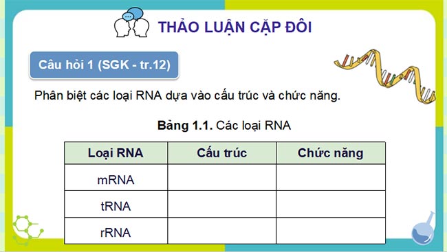 PowerPoint Sinh học 12 Cánh diều
