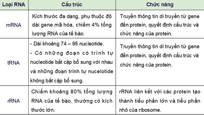 PowerPoint Sinh học 12 Cánh diều