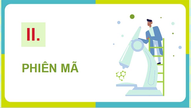 PowerPoint Sinh học 12 Cánh diều