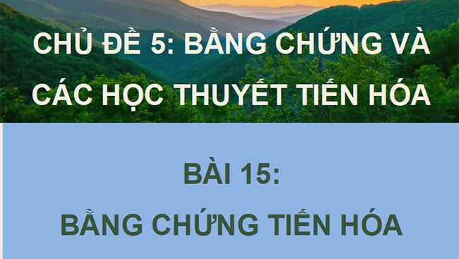 Sinh 12 CD HK2 1*693085