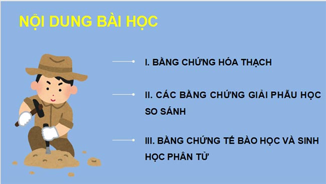 Sinh 12 CD HK2 2*693081