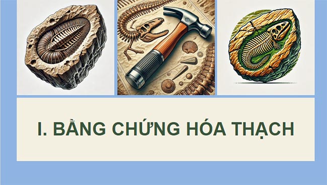 Sinh 12 CD HK2 4*693082