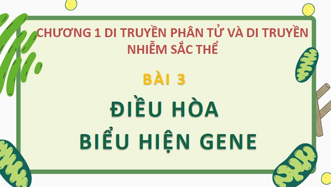 Sinh 12 CTST HK1 1*693097