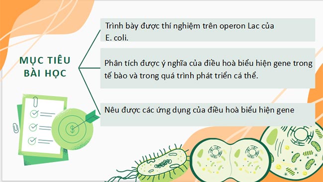 Sinh 12 CTST HK1 2*693099