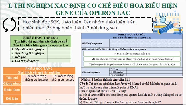 Sinh 12 CTST HK1 4*693101