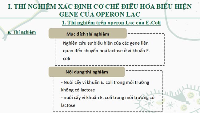 Sinh 12 CTST HK1 5*693100