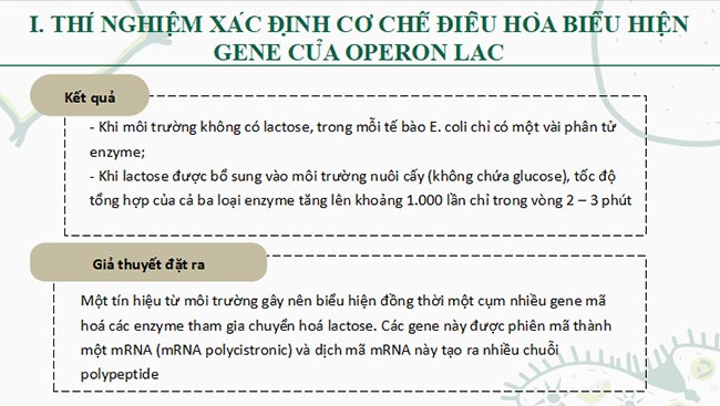 Sinh 12 CTST HK1 6*693102